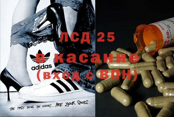 PSILOCYBIN Дмитриев