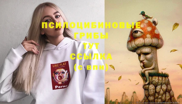 каннабис Ельня