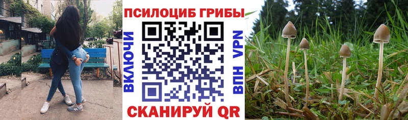 Псилоцибиновые грибы ЛСД  купить наркоту  Игарка 